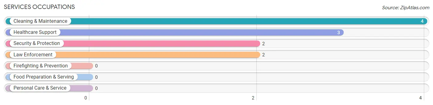 Services Occupations in Mount Erie