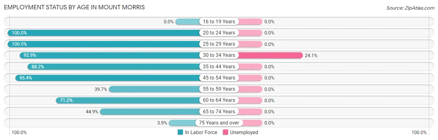 Employment Status by Age in Mount Morris