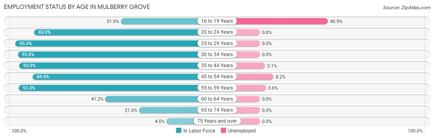 Employment Status by Age in Mulberry Grove