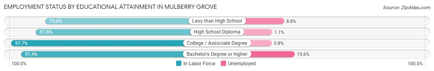 Employment Status by Educational Attainment in Mulberry Grove