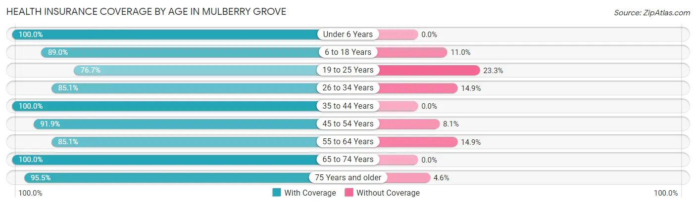 Health Insurance Coverage by Age in Mulberry Grove