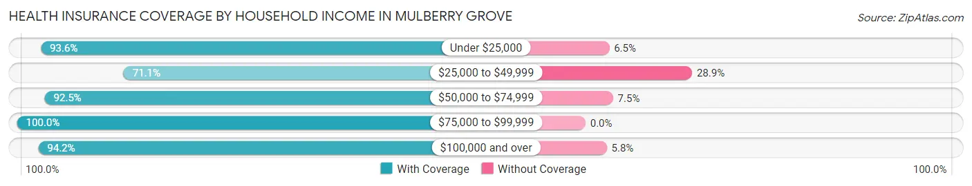 Health Insurance Coverage by Household Income in Mulberry Grove