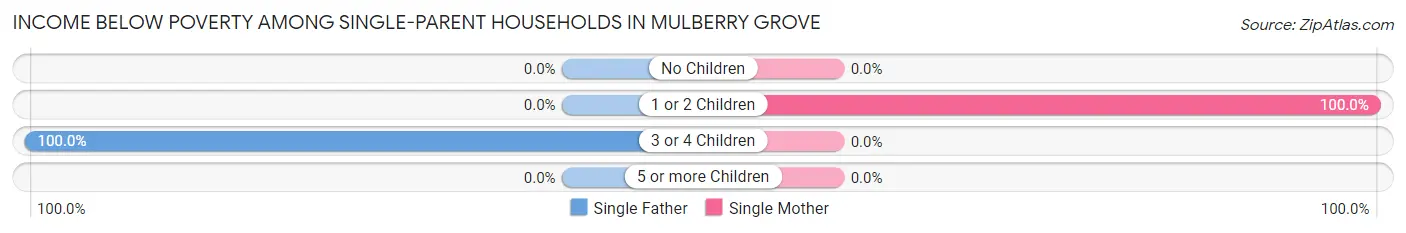 Income Below Poverty Among Single-Parent Households in Mulberry Grove
