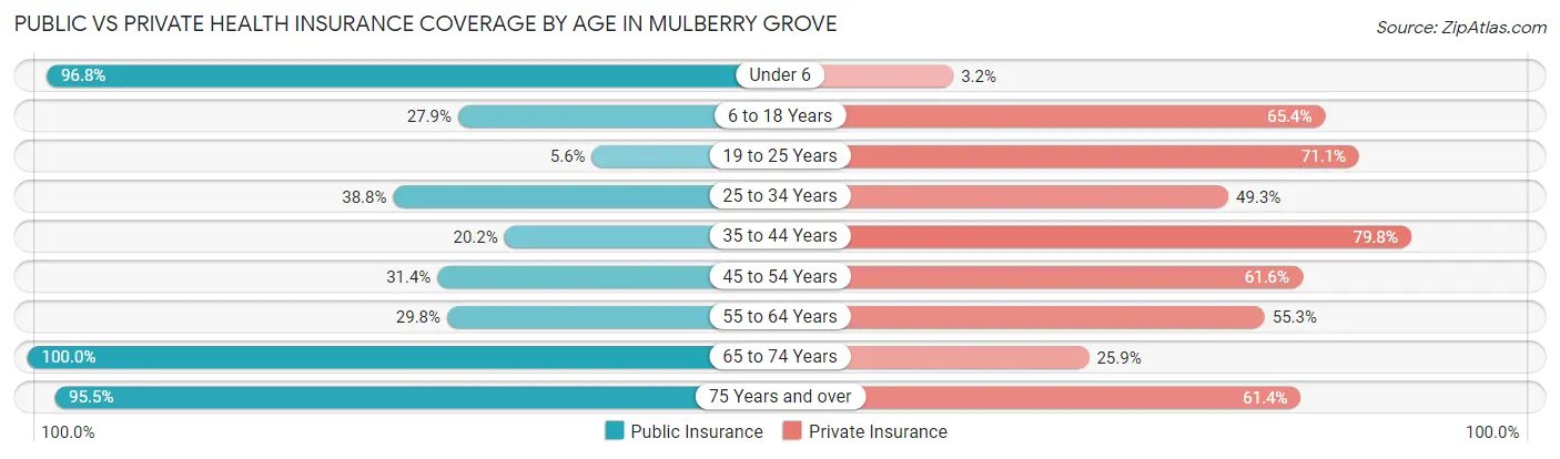 Public vs Private Health Insurance Coverage by Age in Mulberry Grove
