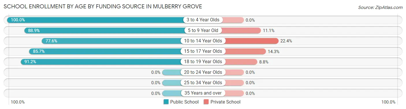 School Enrollment by Age by Funding Source in Mulberry Grove