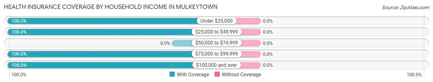 Health Insurance Coverage by Household Income in Mulkeytown