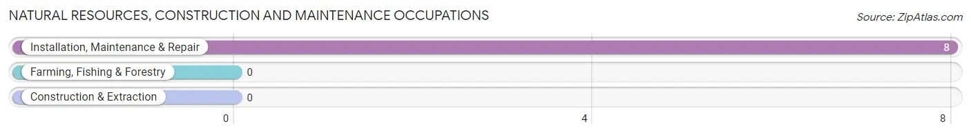 Natural Resources, Construction and Maintenance Occupations in Mulkeytown