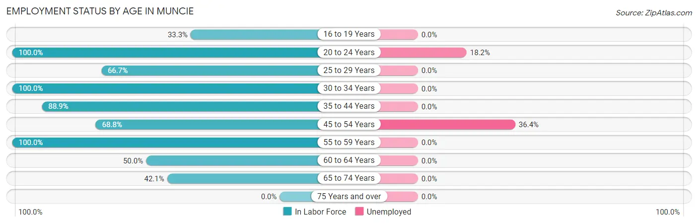 Employment Status by Age in Muncie