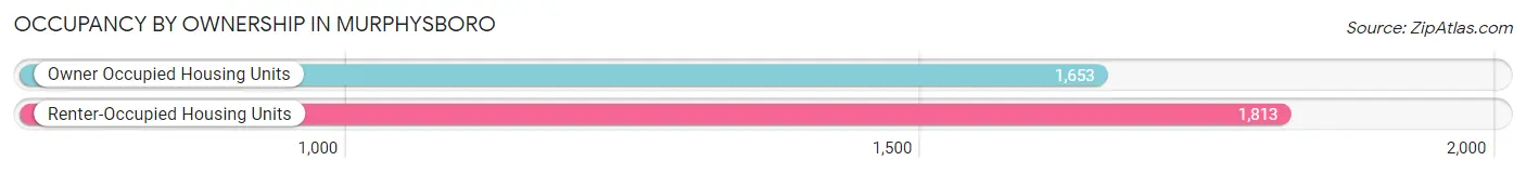 Occupancy by Ownership in Murphysboro