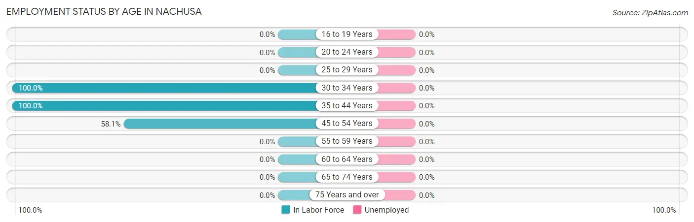 Employment Status by Age in Nachusa
