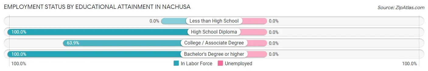Employment Status by Educational Attainment in Nachusa
