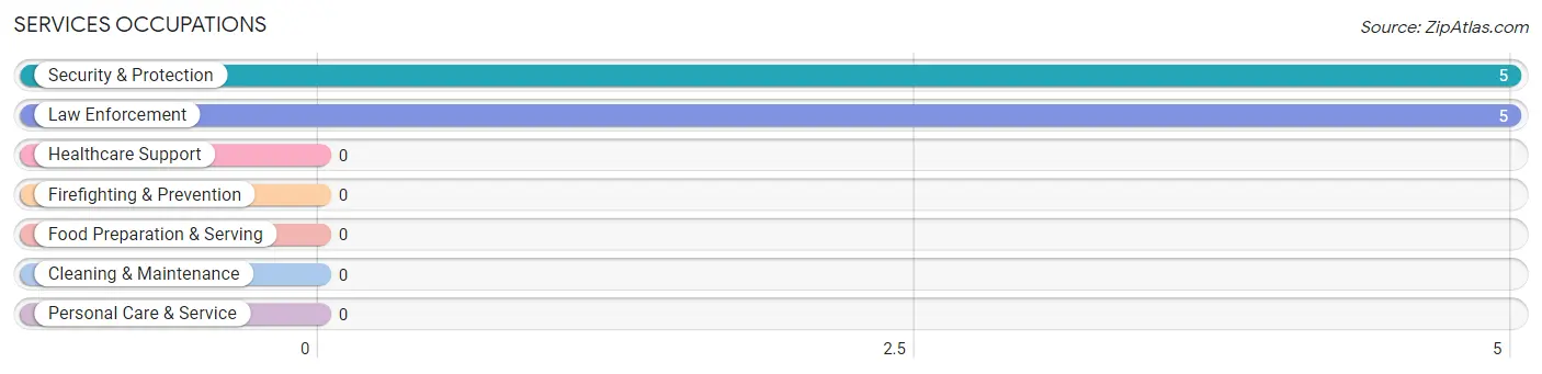 Services Occupations in Nachusa