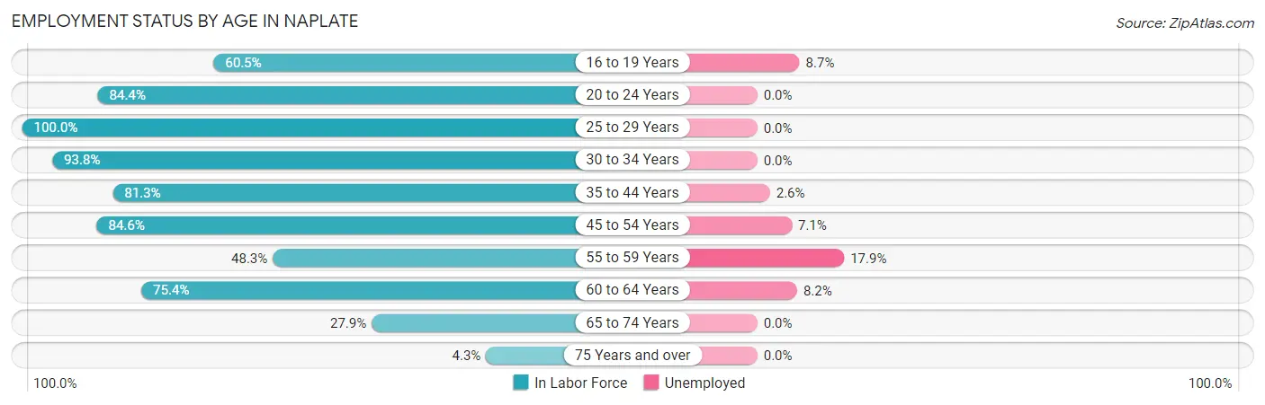 Employment Status by Age in Naplate