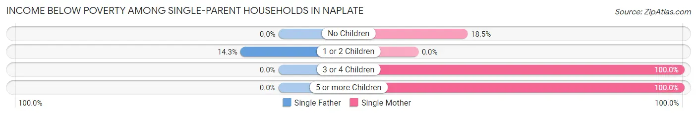 Income Below Poverty Among Single-Parent Households in Naplate