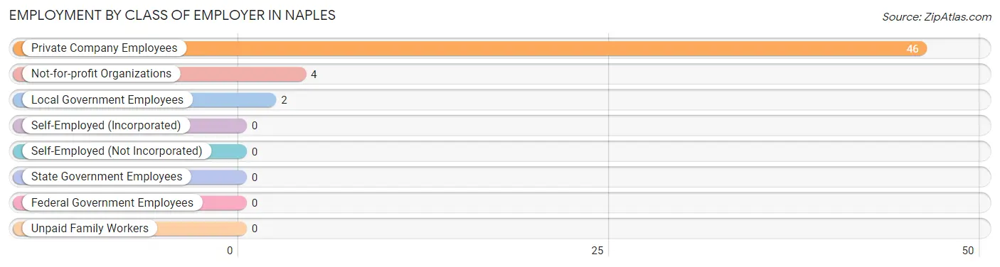 Employment by Class of Employer in Naples