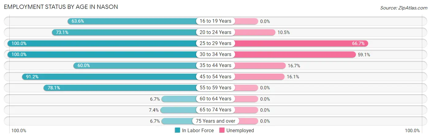 Employment Status by Age in Nason