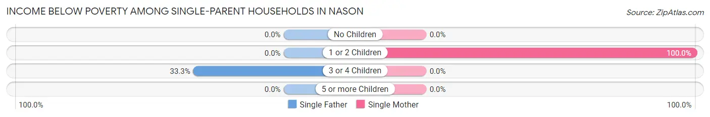 Income Below Poverty Among Single-Parent Households in Nason