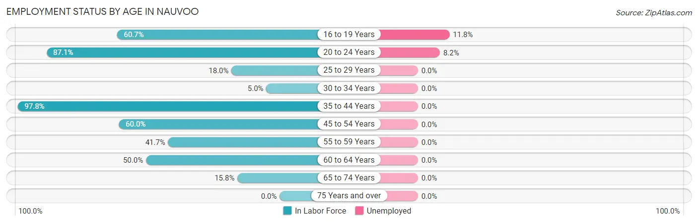 Employment Status by Age in Nauvoo