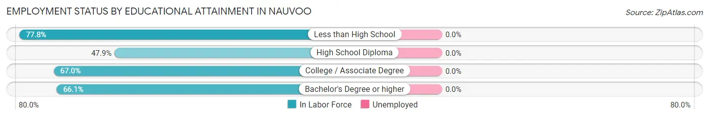Employment Status by Educational Attainment in Nauvoo