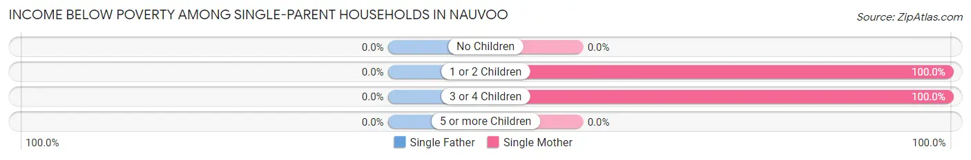 Income Below Poverty Among Single-Parent Households in Nauvoo