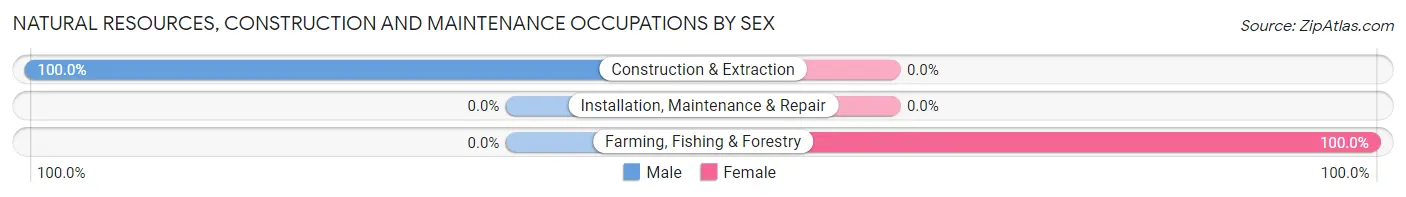 Natural Resources, Construction and Maintenance Occupations by Sex in Nauvoo
