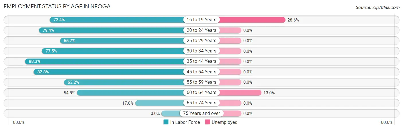 Employment Status by Age in Neoga