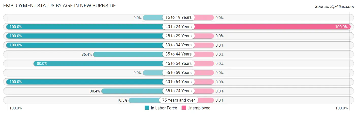Employment Status by Age in New Burnside