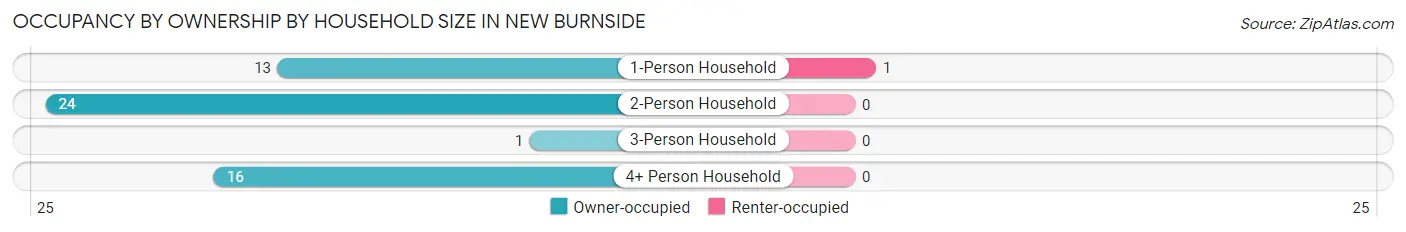 Occupancy by Ownership by Household Size in New Burnside