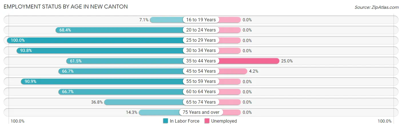 Employment Status by Age in New Canton