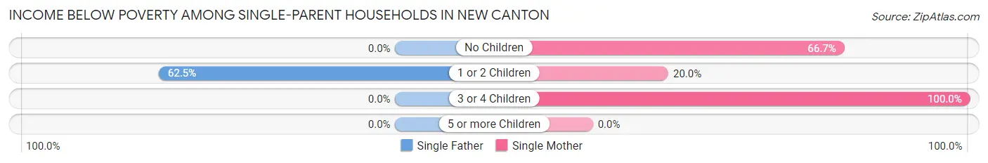 Income Below Poverty Among Single-Parent Households in New Canton
