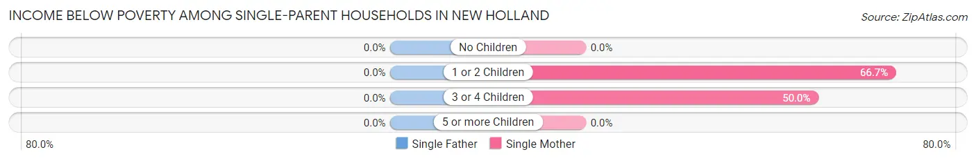 Income Below Poverty Among Single-Parent Households in New Holland