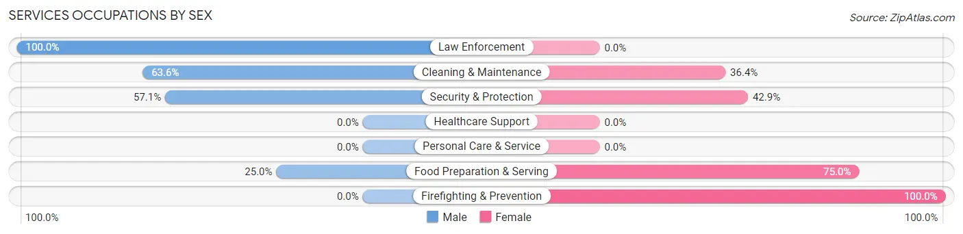 Services Occupations by Sex in New Holland