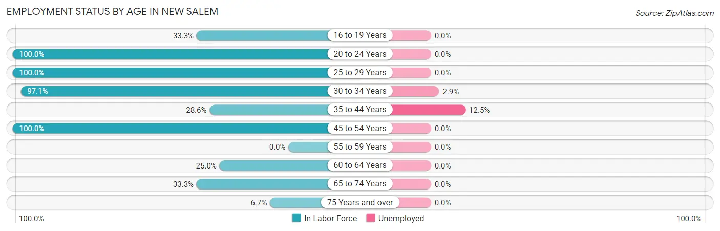 Employment Status by Age in New Salem