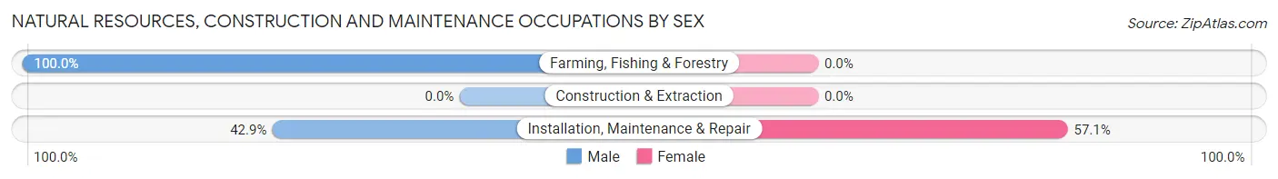 Natural Resources, Construction and Maintenance Occupations by Sex in Noble