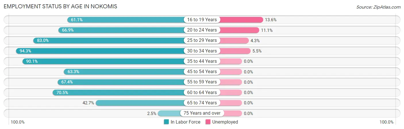 Employment Status by Age in Nokomis