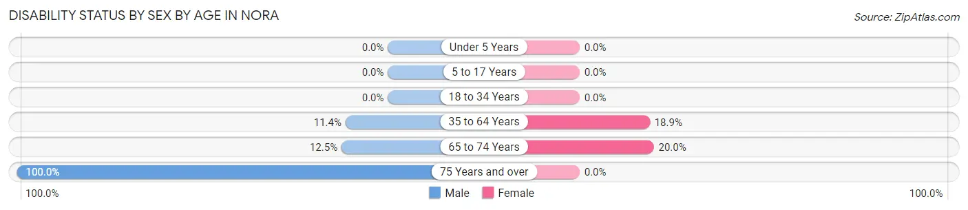 Disability Status by Sex by Age in Nora