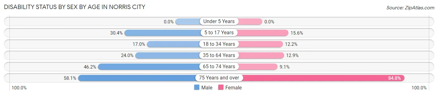 Disability Status by Sex by Age in Norris City