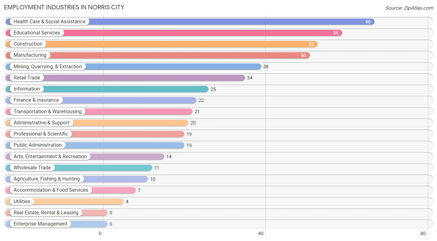 Employment Industries in Norris City