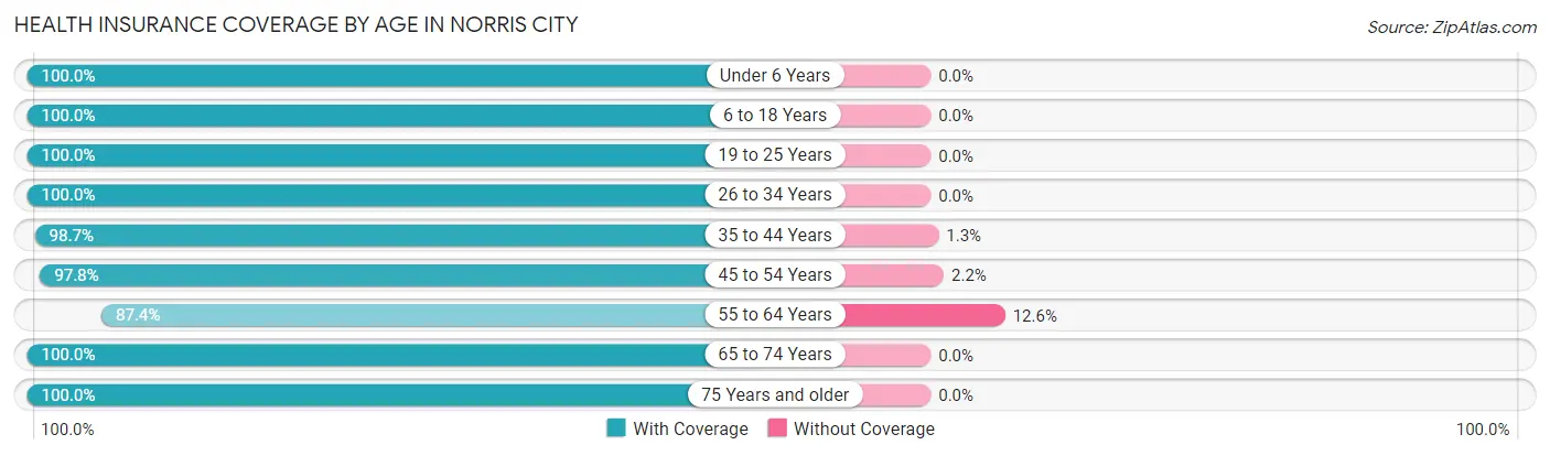 Health Insurance Coverage by Age in Norris City