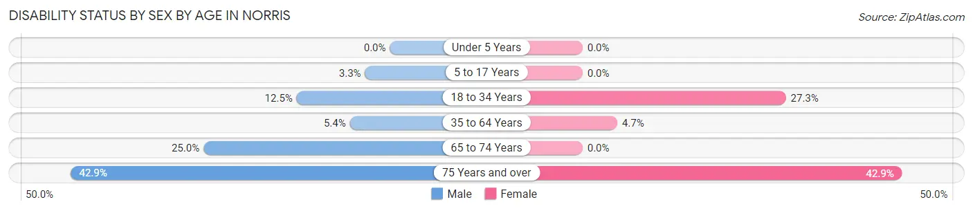 Disability Status by Sex by Age in Norris