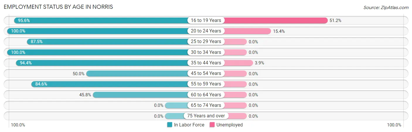 Employment Status by Age in Norris