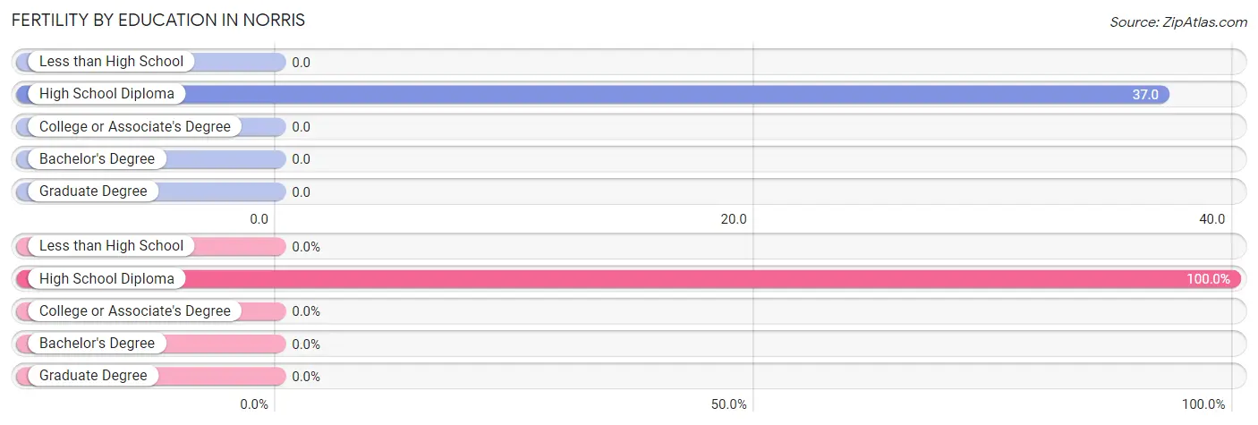 Female Fertility by Education Attainment in Norris