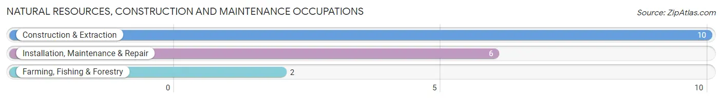 Natural Resources, Construction and Maintenance Occupations in Ohio