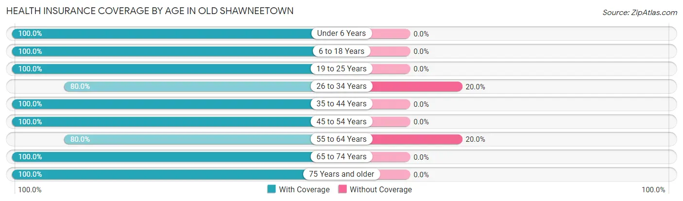Health Insurance Coverage by Age in Old Shawneetown