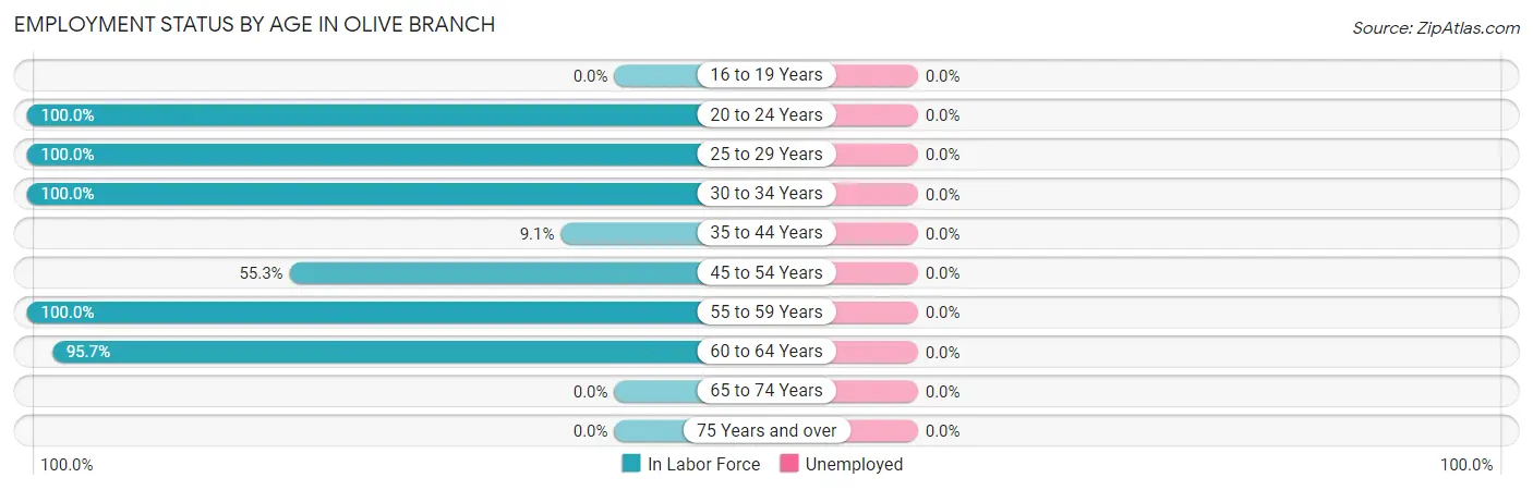 Employment Status by Age in Olive Branch