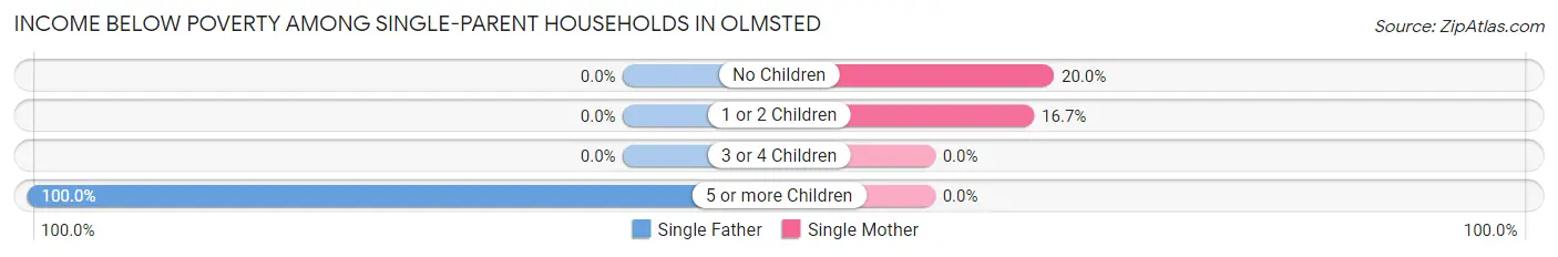 Income Below Poverty Among Single-Parent Households in Olmsted