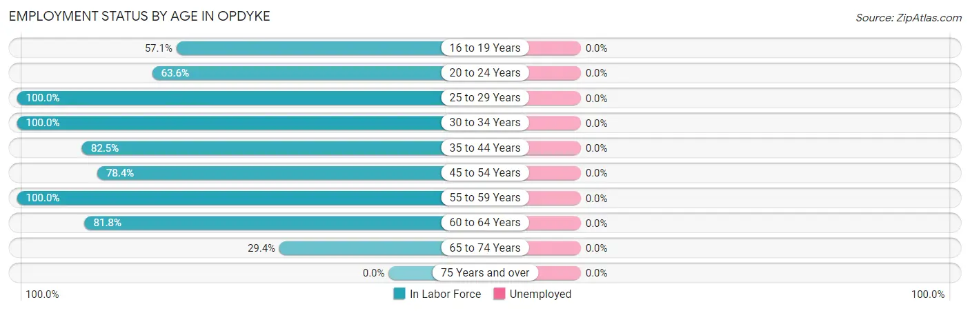 Employment Status by Age in Opdyke