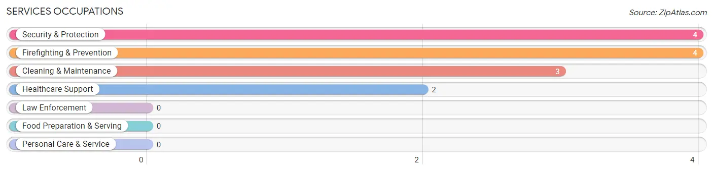 Services Occupations in Opdyke