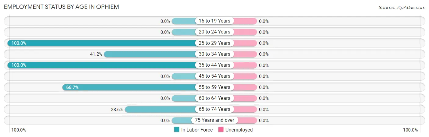 Employment Status by Age in Ophiem