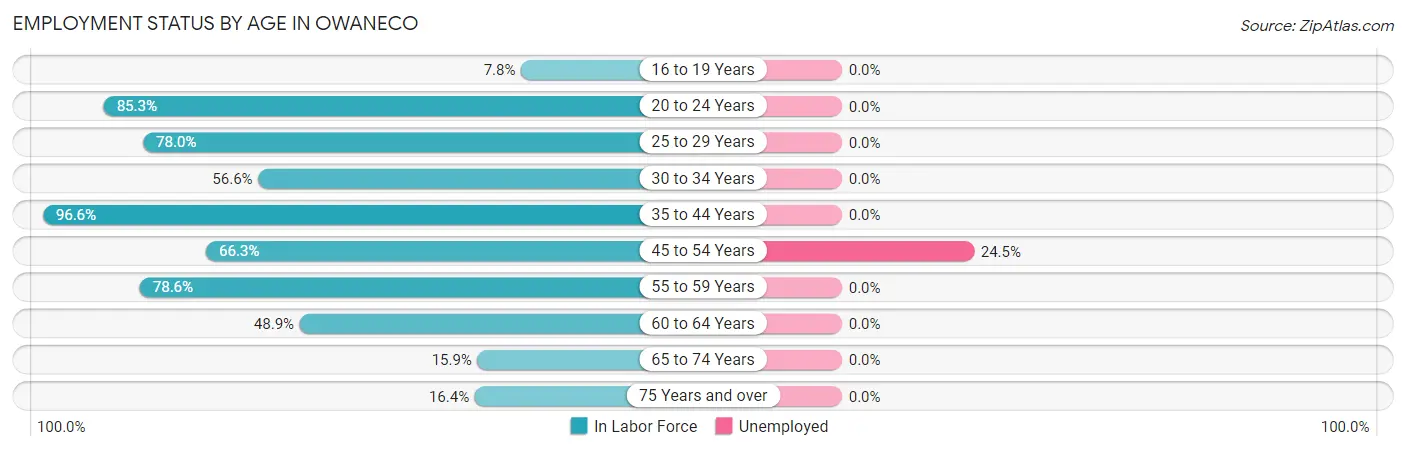 Employment Status by Age in Owaneco